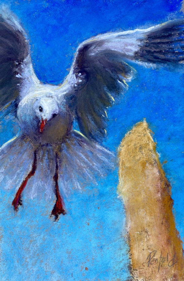 Want a chip bro? by Susan Penfold