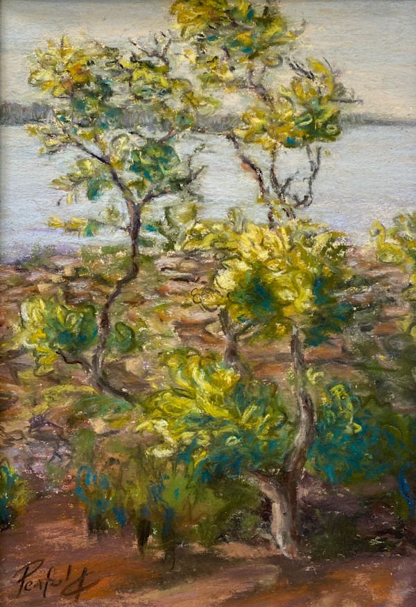 Mangrove in calm waters (en plein air) by Susan Penfold