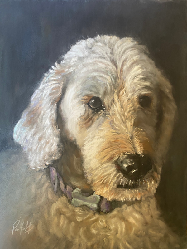 Alyssa's dog by Susan Penfold