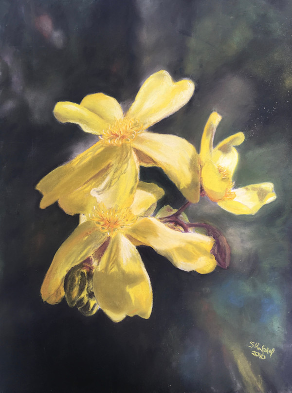 Ephemeral beauty by Susan Penfold