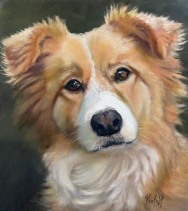 Cath's dog by Susan Penfold