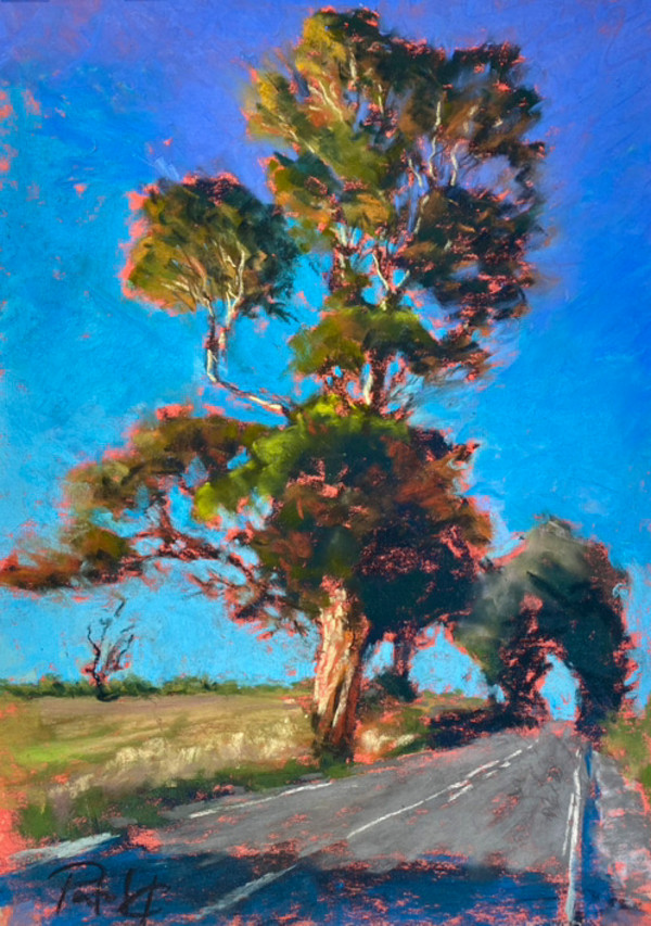 Shadows and silence by Susan Penfold