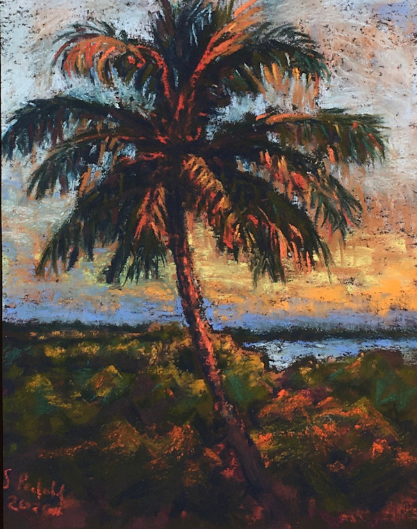Palm tree by Susan Penfold