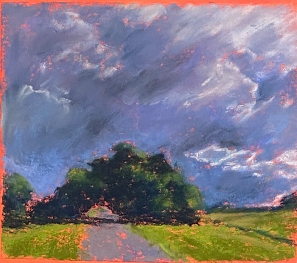 Anthropocene skies : Casuarina by Susan Penfold