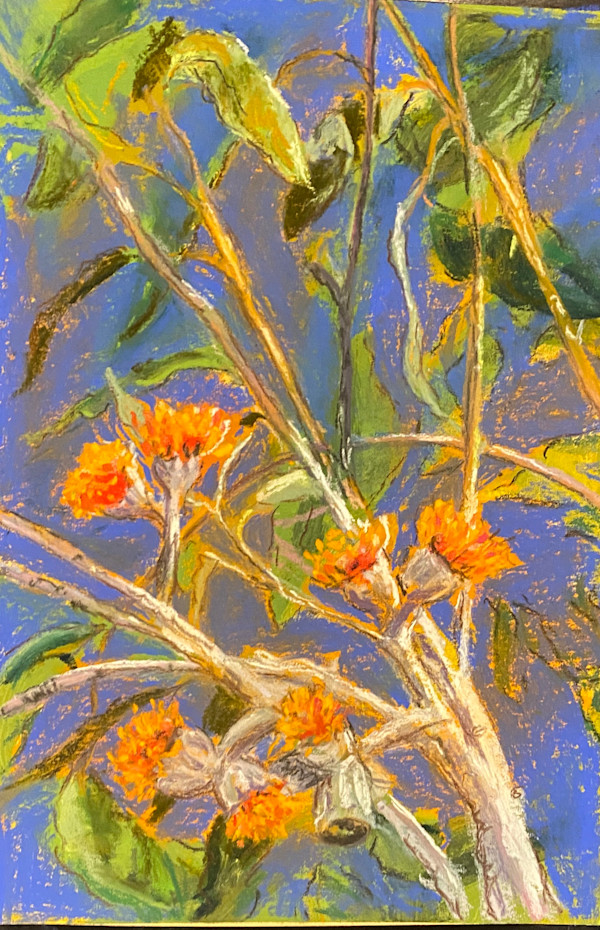Dry season walk by Susan Penfold