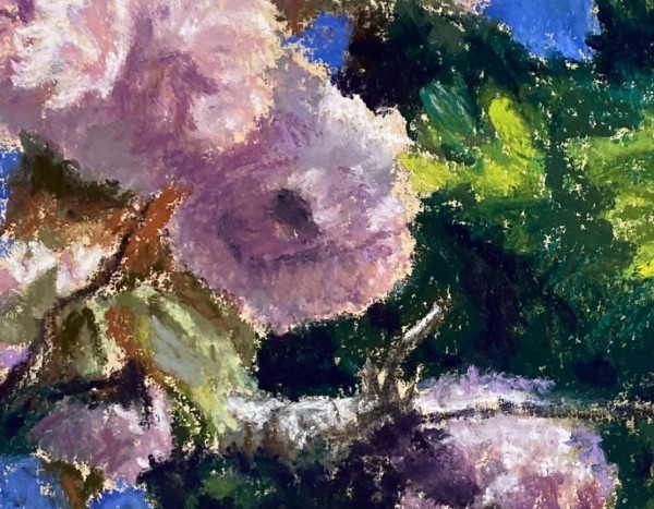 Spring Blossoms by Susan Penfold