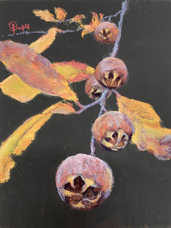 Autumn Medlar by Susan Penfold