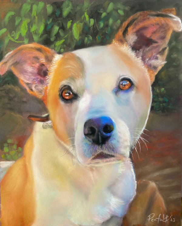Nadia's dog by Susan Penfold