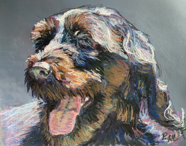 Puppy portraits available for commission POA by Susan Penfold