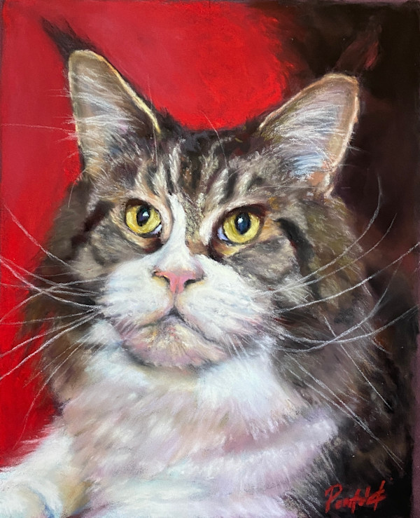 Judith's cat #3 by Susan Penfold