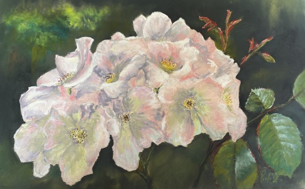 Tranquility by Susan Penfold