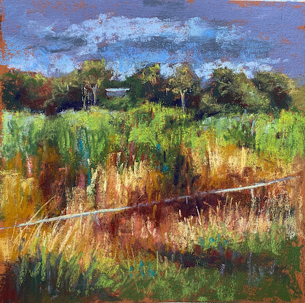 Long grass Dick Ward Drive by Susan Penfold