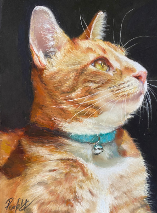 Caleb's cat by Susan Penfold