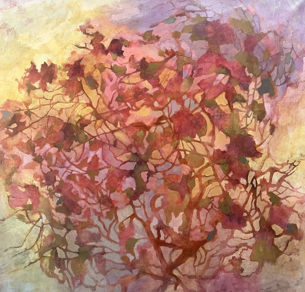 Be the Light by Julie Tarsha