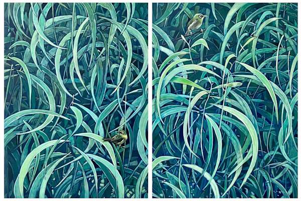 Mejiro in a Koa Tree by Tracy Dudley, Image 1.