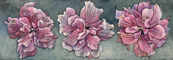 Pink Hibiscus by Tracy Dudley, Image 1.
