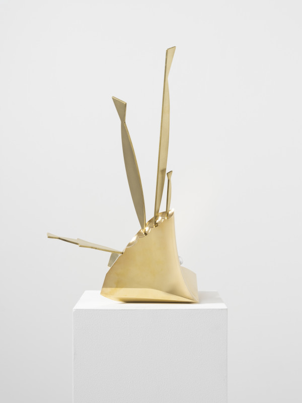 Clamshell / 29 by Christopher Ho