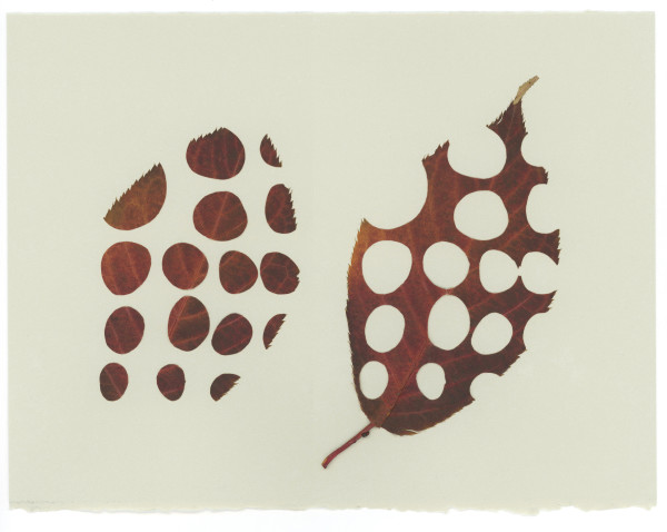 16 Stones Diptych [cherry] by Jody Graff