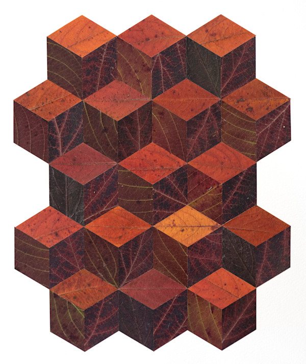 Dogwood Chokeberry Maple Tumbling Block Quilt by Jody Graff