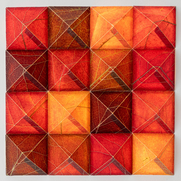 Stoneleigh Garden Franklinia Pyramids by Jody Graff