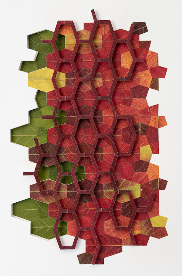 Stoneleigh Garden Franklinia Collinear Cairo Tiling Deconstructed Quilt by Jody Graff