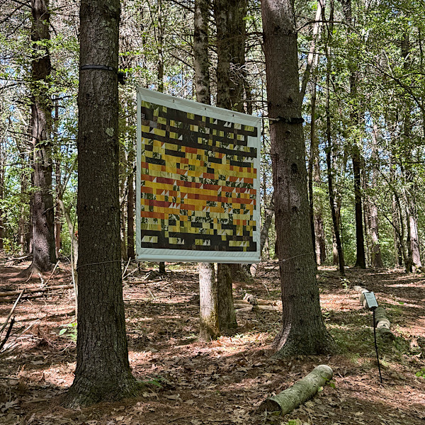 Trees Remember: Philadelphia 2023 Temperature Quilt Installation by Jody Graff, Image 1.