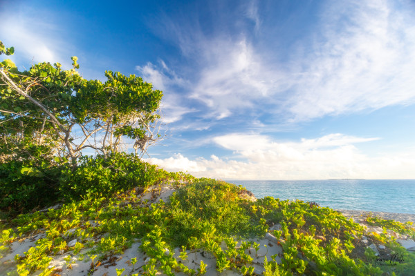 Through My Window - Cuba Beach by Theresa Muth