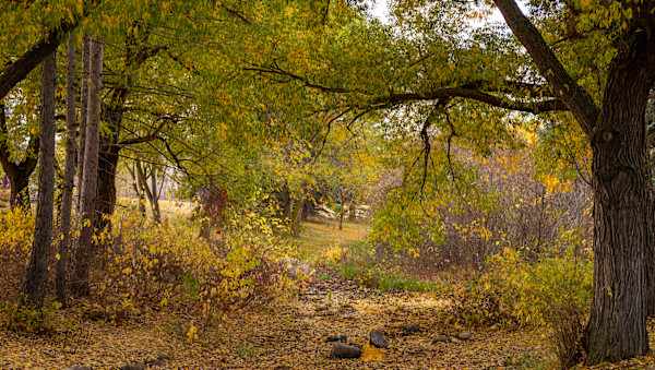 Fall at Hawrlack by Theresa Muth