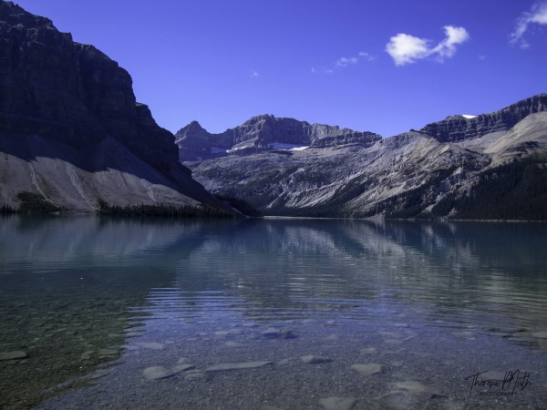 Bow Lake by Theresa Muth