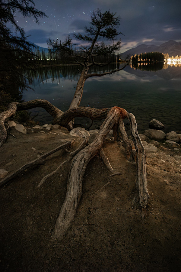Deep Roots by Theresa Muth, Image 1.