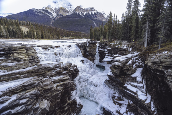 Athabasca Falls by Theresa Muth