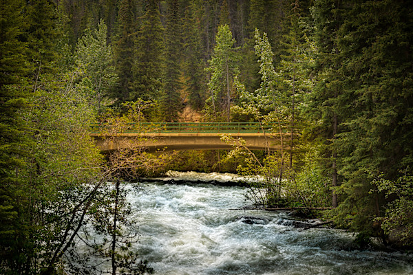 Maligne Canyon Bridge by Theresa Muth