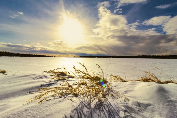 Wabamun Lake at Sunset by Theresa Muth