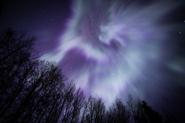Aurora Borealis - Metal Print by Theresa Muth