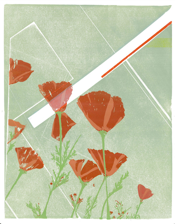 Poppy - Remembrance by Ilana Dashe