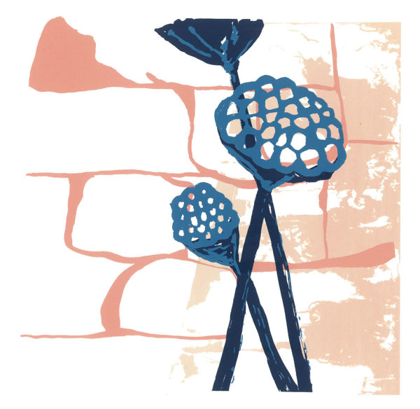 Lotus Pods AP Proof 2 by Ilana Dashe