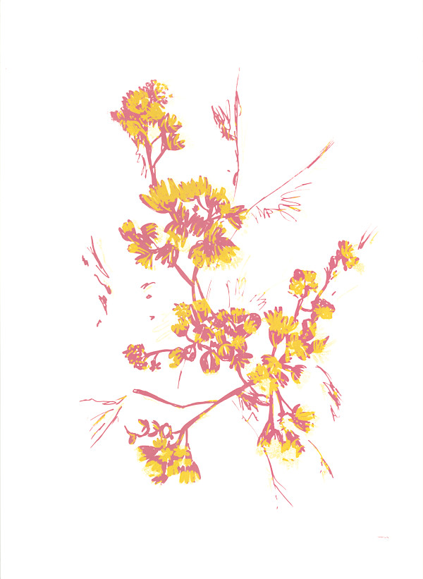 Silverdust Grace by Ilana Dashe