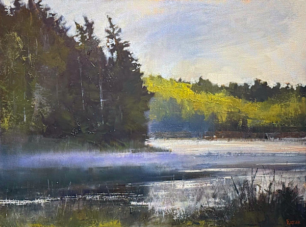 Adirondack morning by Steven Plaziak
