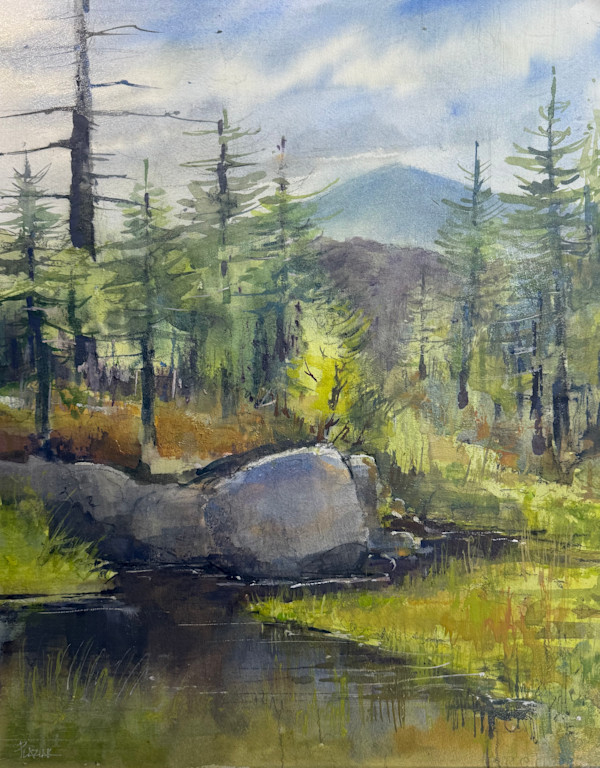 Adirondack Outlook by Steven Plaziak