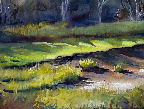 Afternoon Shadows by Steven Plaziak