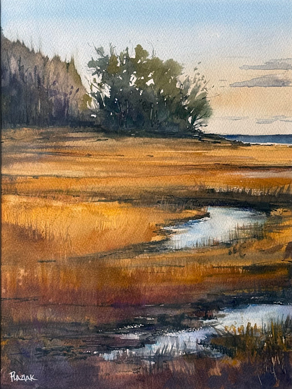 Chaffinch Marsh by Steven Plaziak