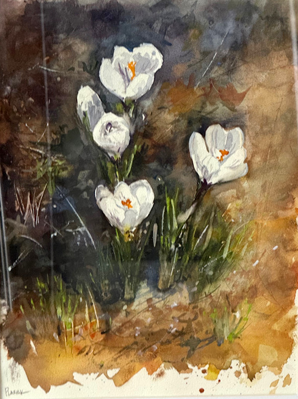 First sign of Spring by Steven Plaziak