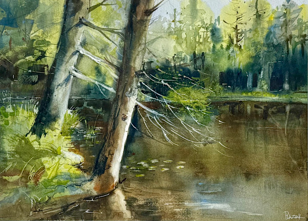 Whispering pines by Steven Plaziak