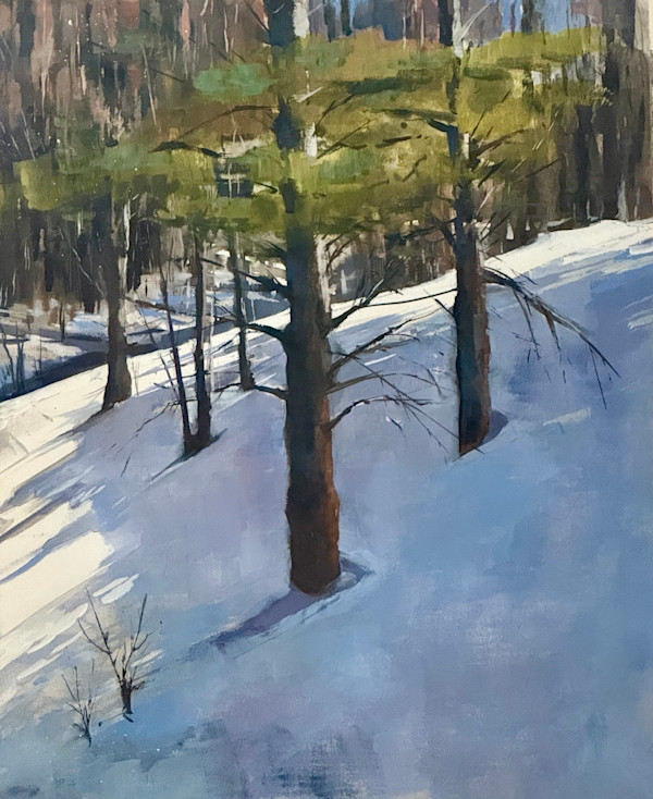 Forest for the trees by Steven Plaziak