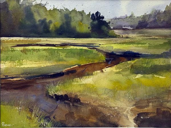 Meandering Marsh by Steven Plaziak