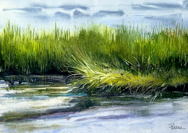 Windswept Seagrass by Steven Plaziak