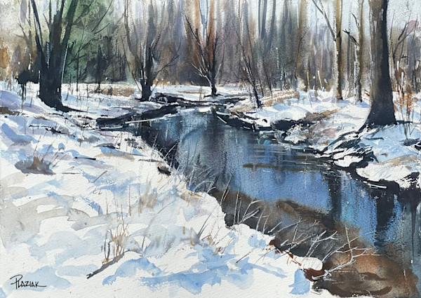 Winter Stream by Steven Plaziak