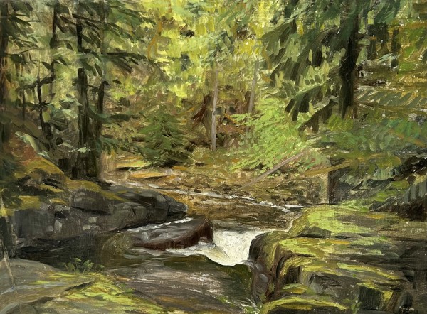 Top of Medicine Bowl Falls by David Vegt