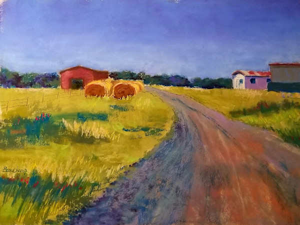 ...While the Sun Shines by Nancy Beauchamp