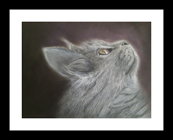 Trouble by Teri Liptak